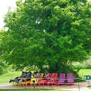 Meet your Posher, Sun